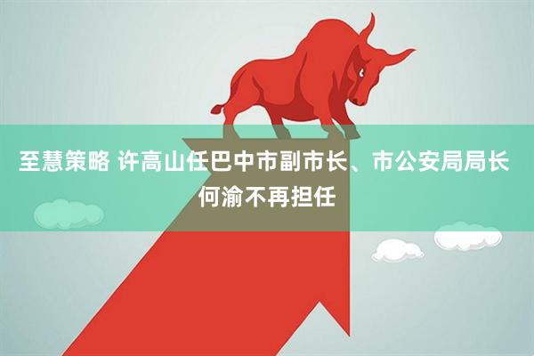 至慧策略 许高山任巴中市副市长、市公安局局长 何渝不再担任