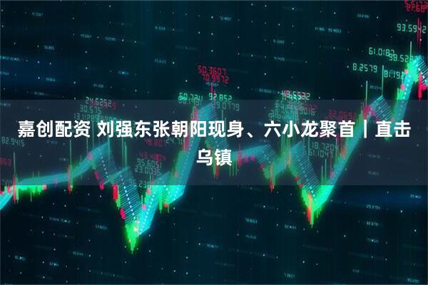 嘉创配资 刘强东张朝阳现身、六小龙聚首｜直击乌镇