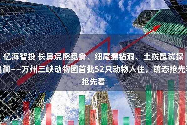 亿海智投 长鼻浣熊觅食、细尾獴钻洞、土拨鼠试探出洞——万州三峡动物园首批52只动物入住，萌态抢先看